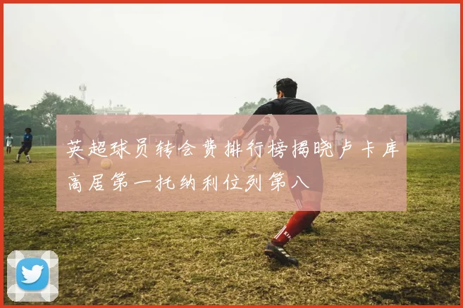 英超球员转会费排行榜揭晓卢卡库高居第一托纳利位列第八