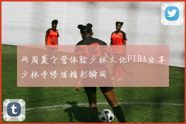 两周夏令营体验少林文化FIBA分享少林寺修炼精彩瞬间